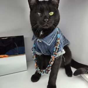 Multicolor Gemstone Necklace